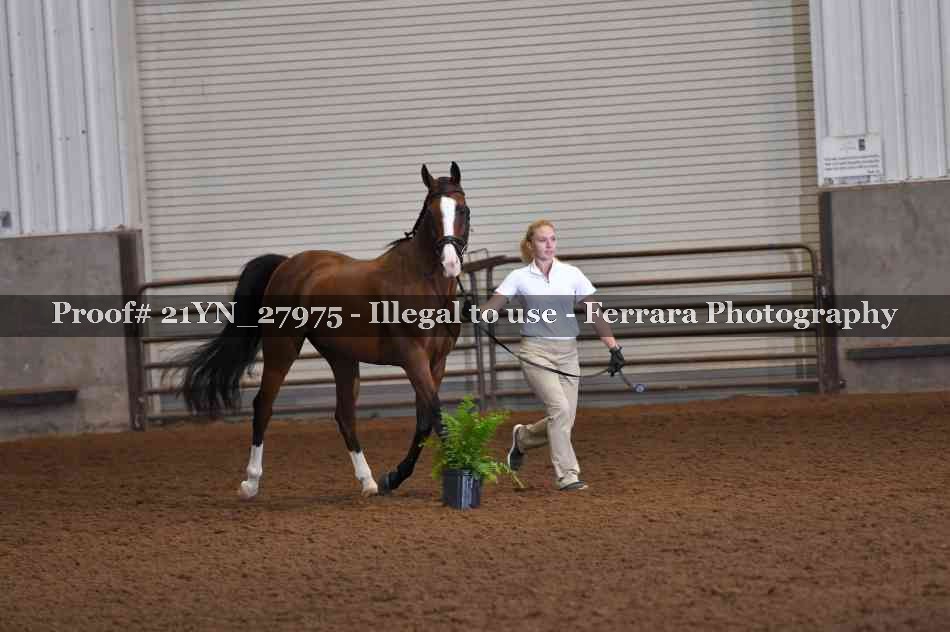 Proof 21YN_27975