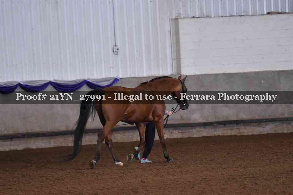 Proof 21YN_27991
