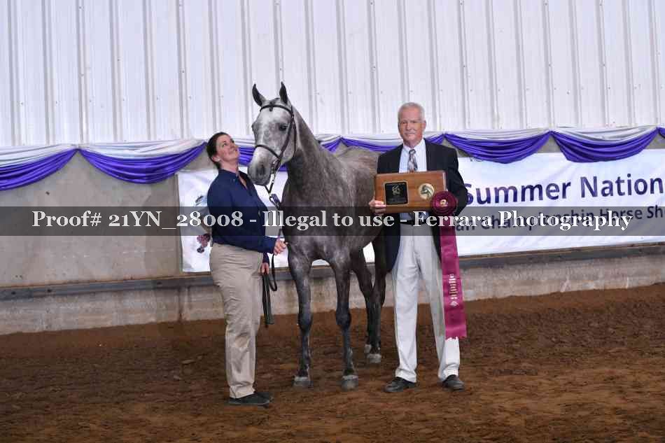 Proof 21YN_28008