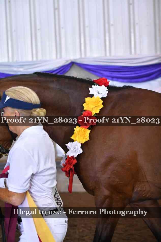 Proof 21YN_28023