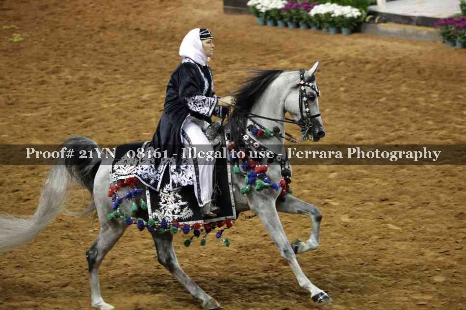 Proof 21YN_08161