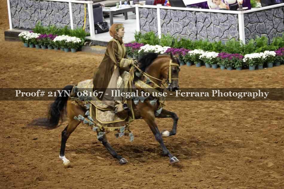 Proof 21YN_08167