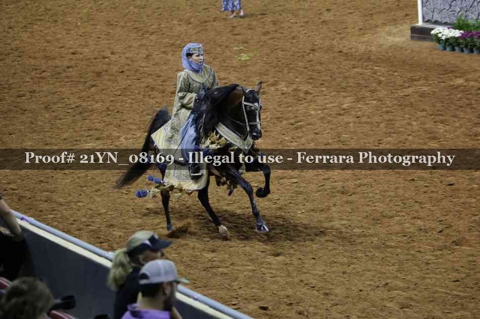 Proof 21YN_08169