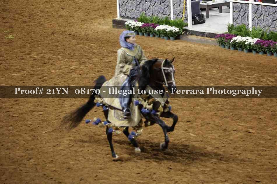 Proof 21YN_08170