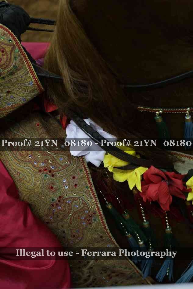 Proof 21YN_08180