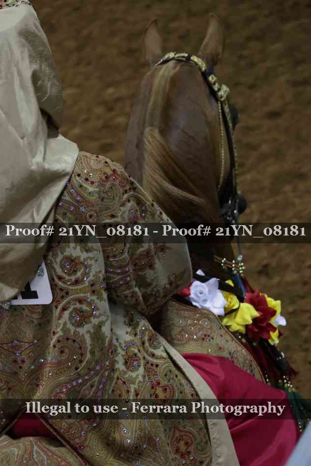 Proof 21YN_08181