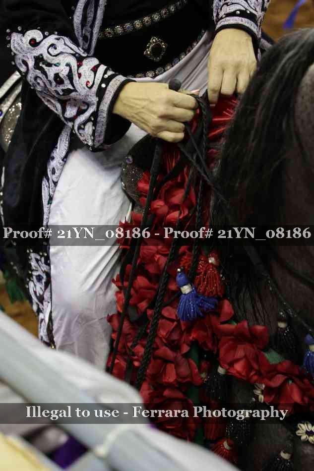 Proof 21YN_08186