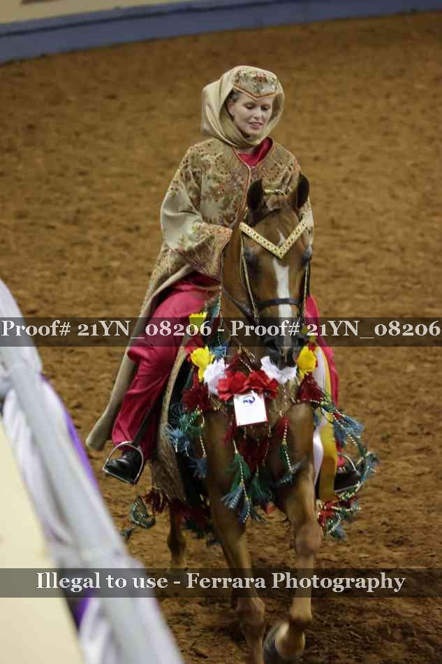 Proof 21YN_08206