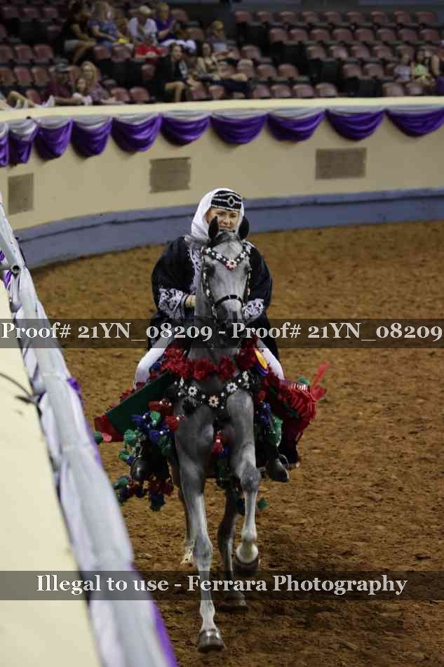 Proof 21YN_08209