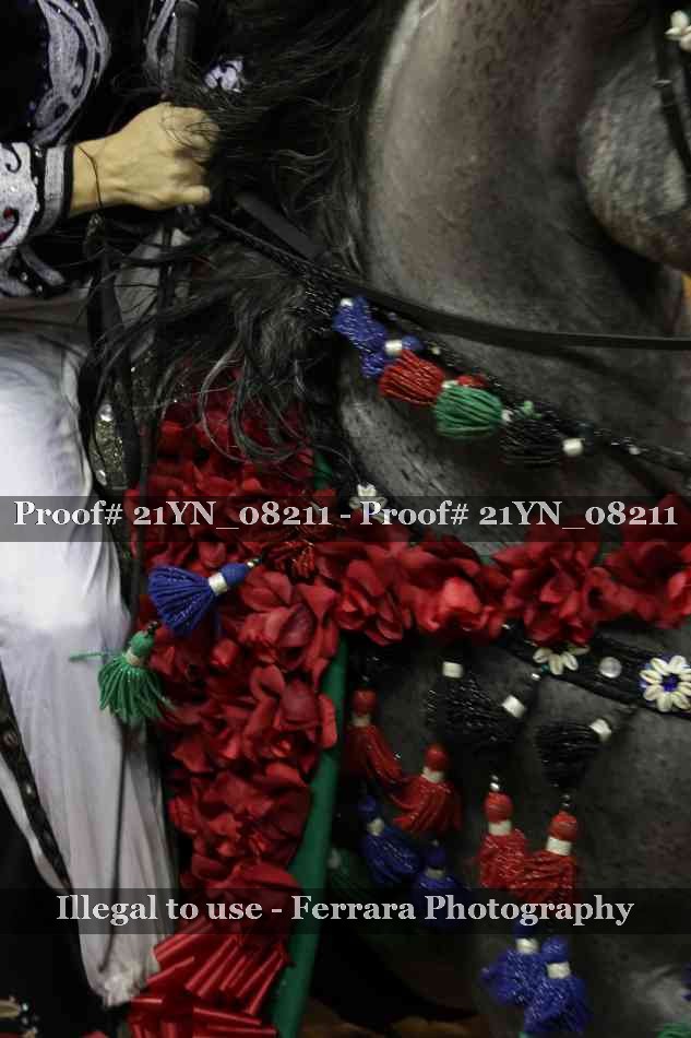 Proof 21YN_08211