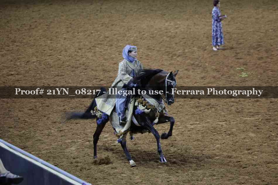 Proof 21YN_08217