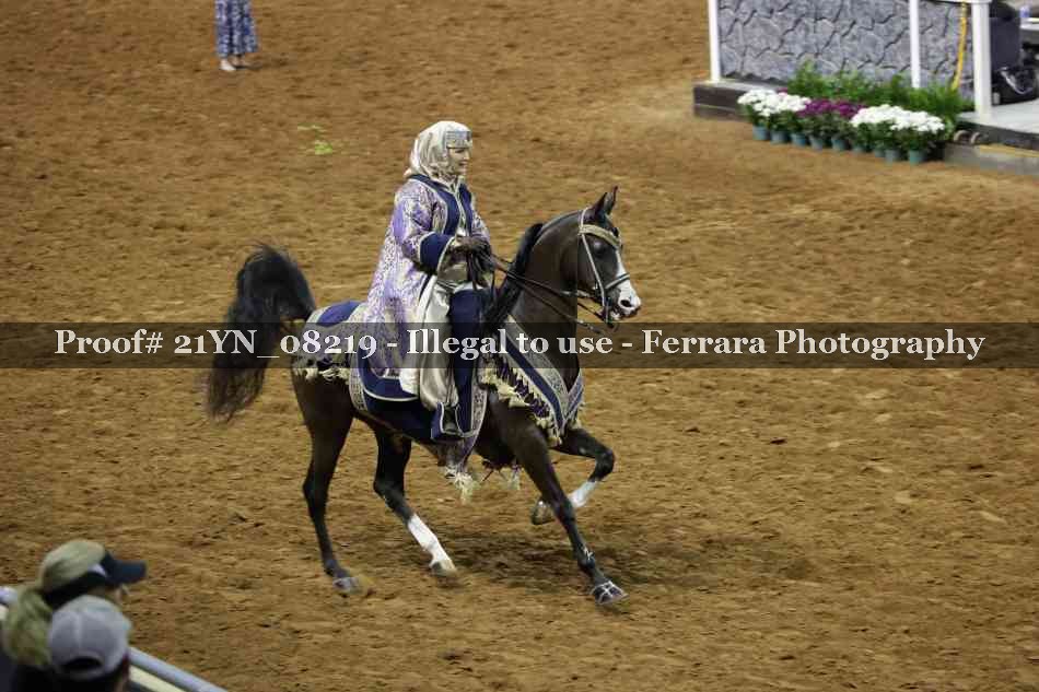 Proof 21YN_08219