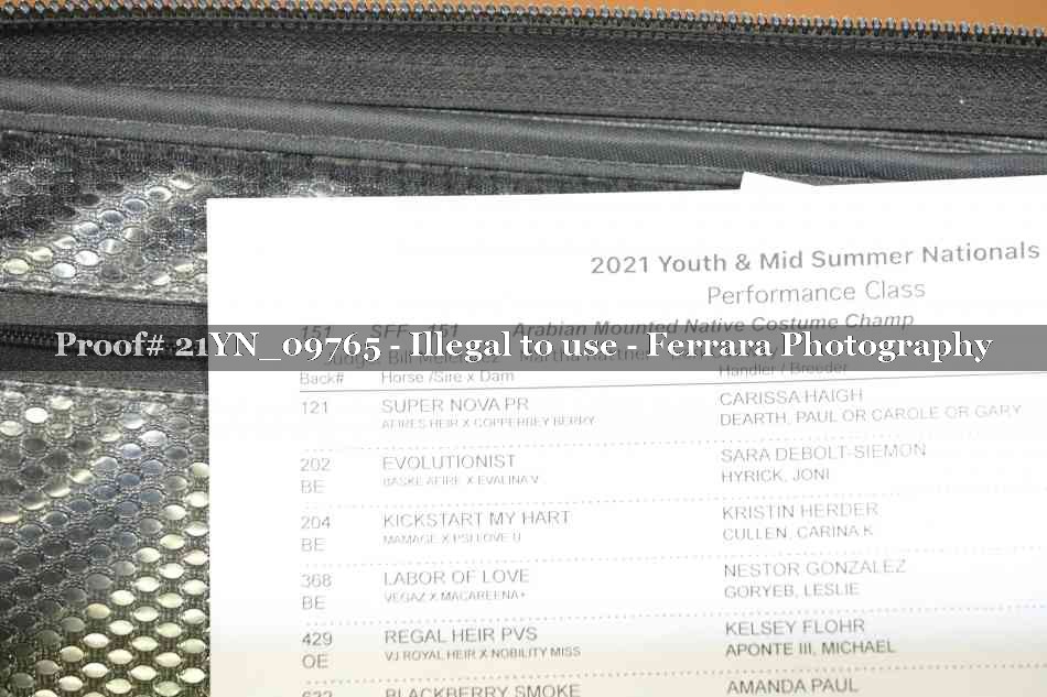 Proof 21YN_09765