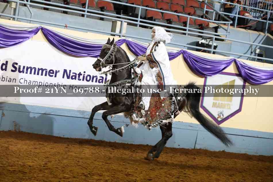 Proof 21YN_09788