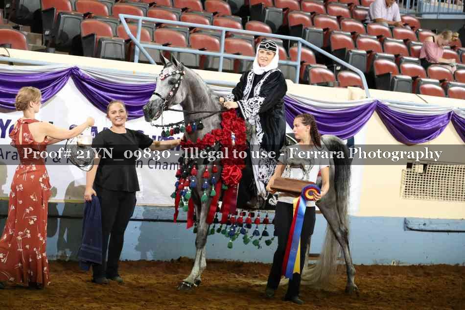 Proof 21YN_09830