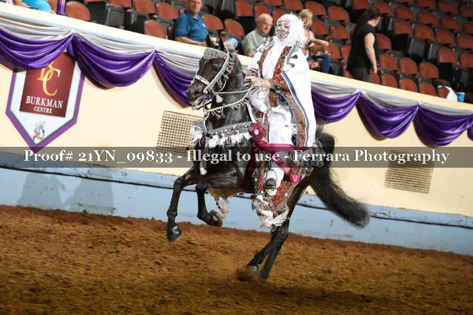 Proof 21YN_09833