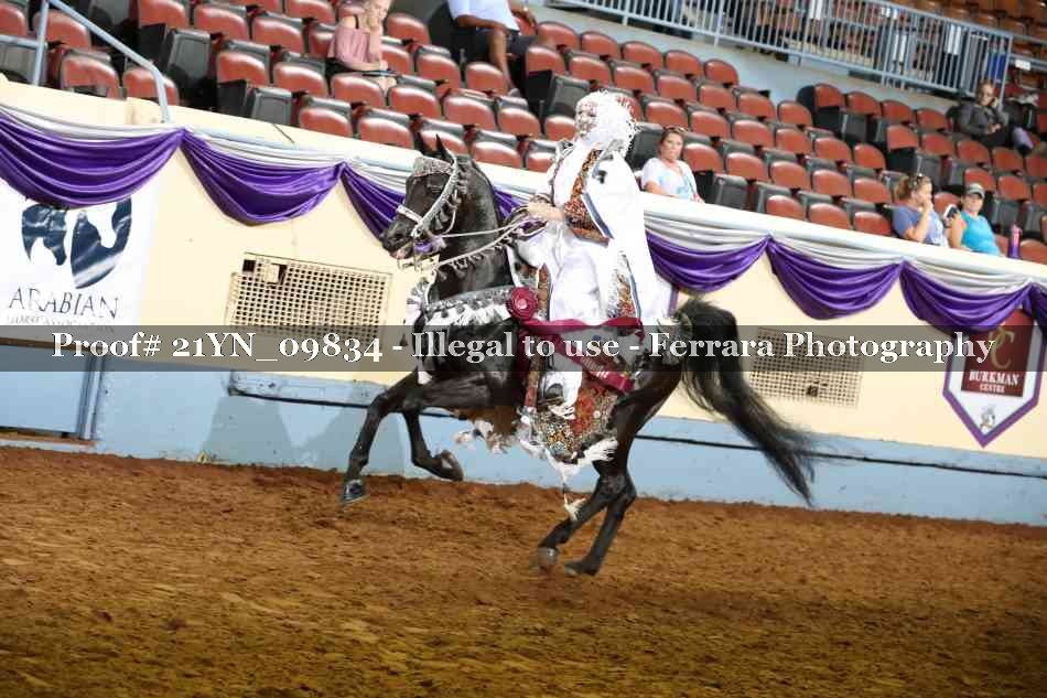 Proof 21YN_09834