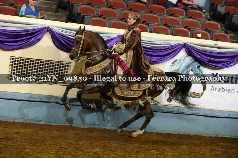 Proof 21YN_09850