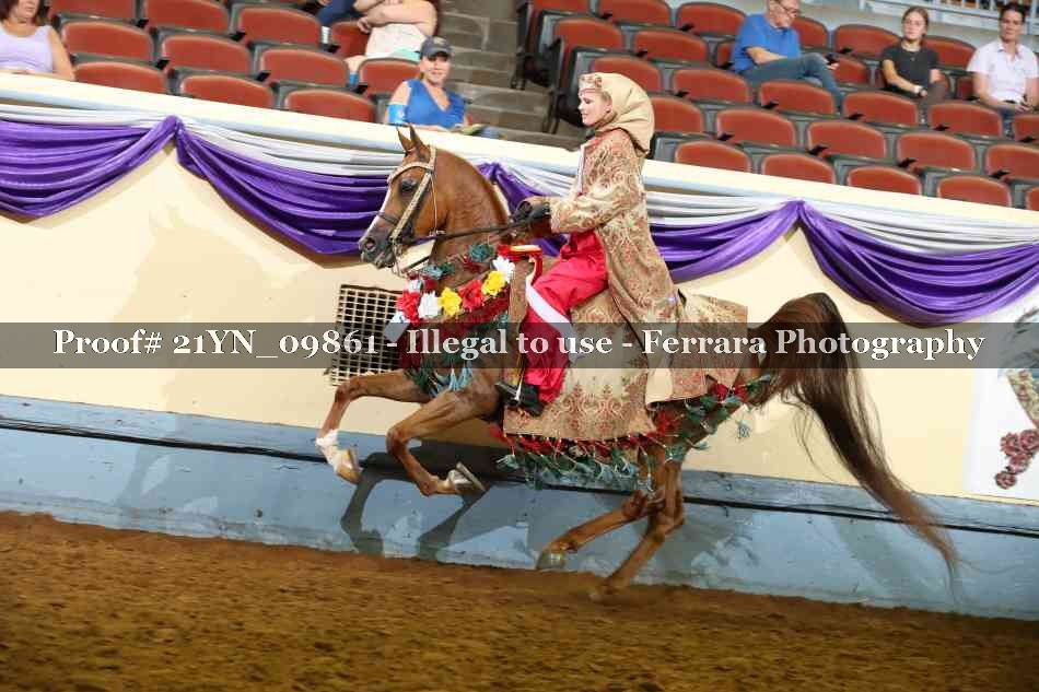 Proof 21YN_09861
