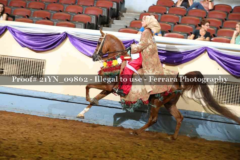 Proof 21YN_09862