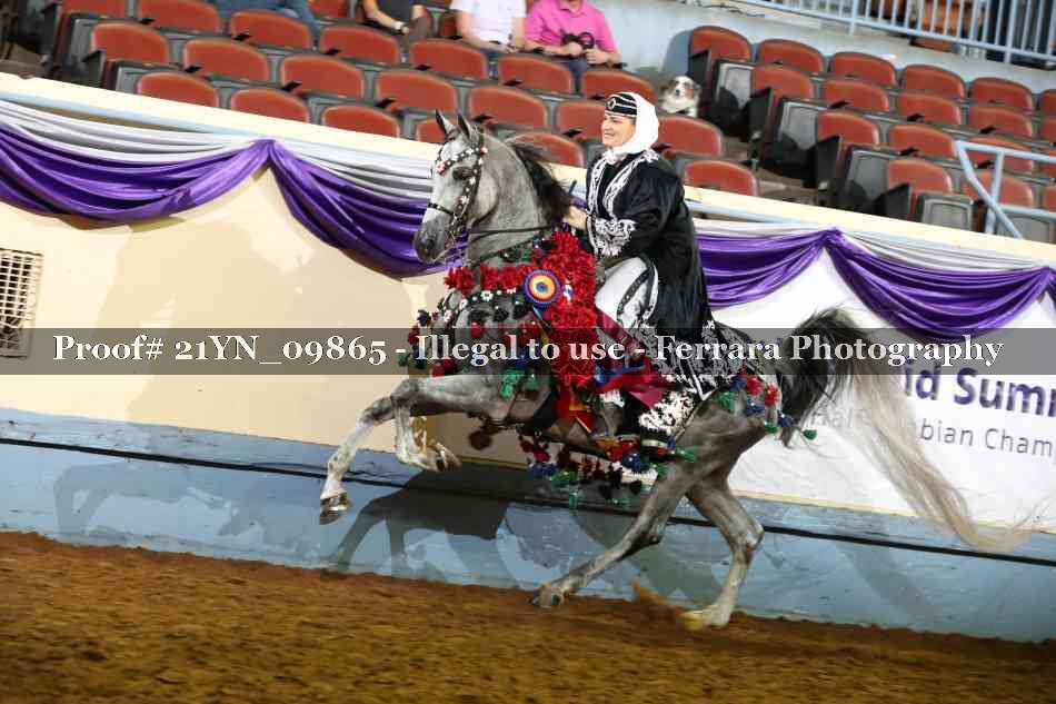 Proof 21YN_09865