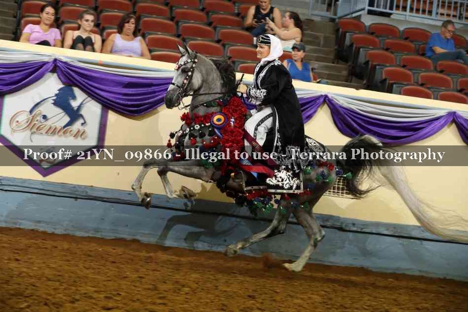Proof 21YN_09866