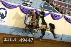 21YN_49447 proof