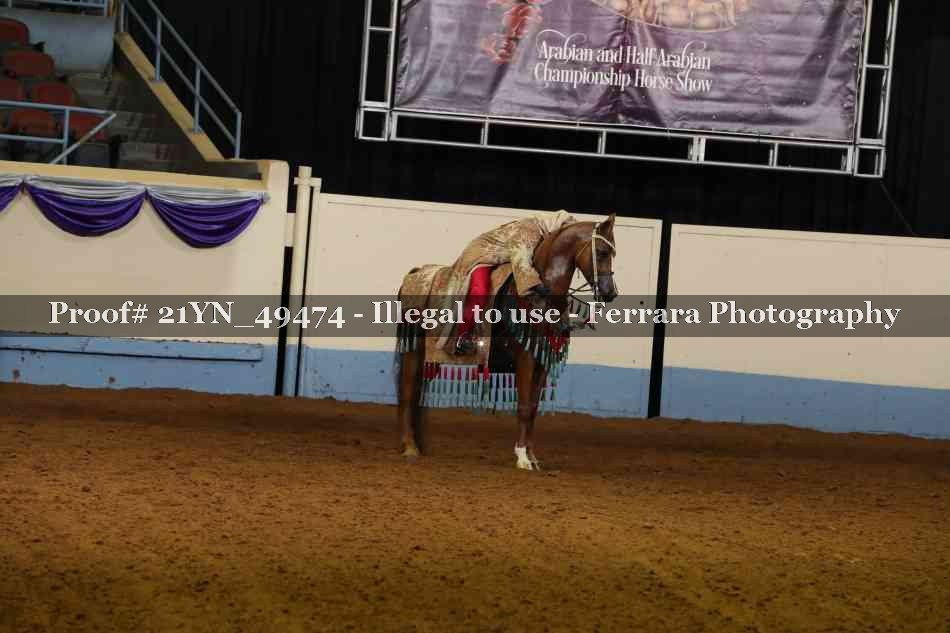 Proof 21YN_49474