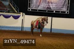 21YN_49474 proof