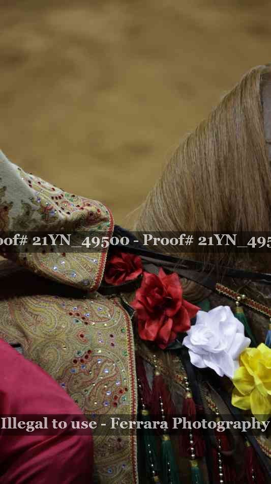 Proof 21YN_49500