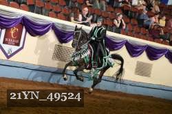 21YN_49524 proof