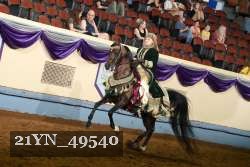 21YN_49540 proof