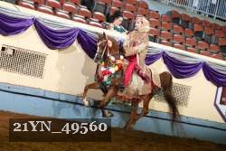 21YN_49560 proof
