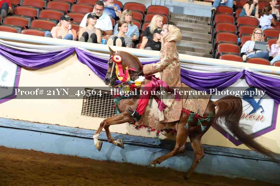 Proof 21YN_49564