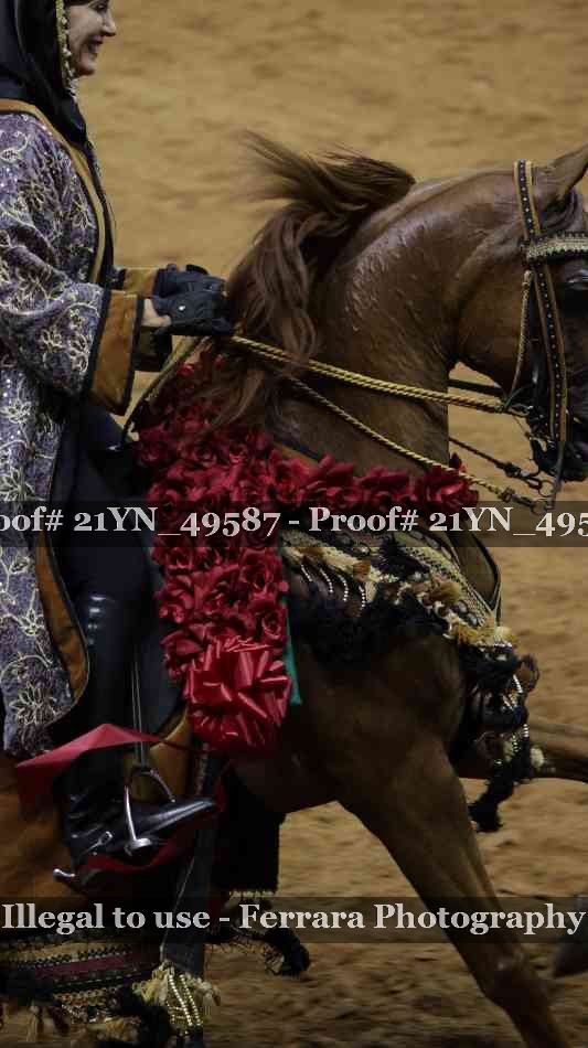 Proof 21YN_49587