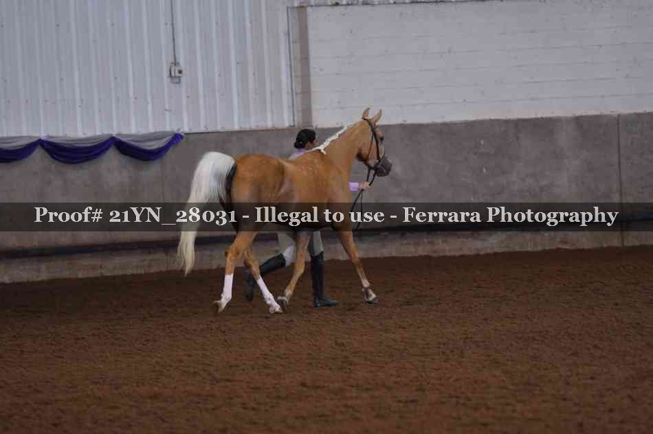 Proof 21YN_28031