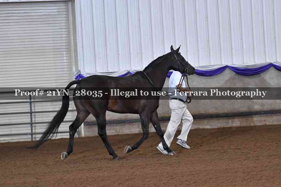 Proof 21YN_28035