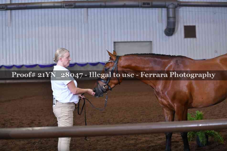 Proof 21YN_28047