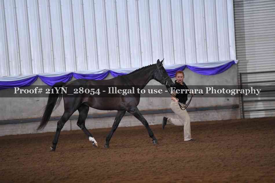 Proof 21YN_28054
