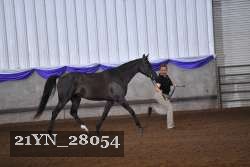 21YN_28054 proof