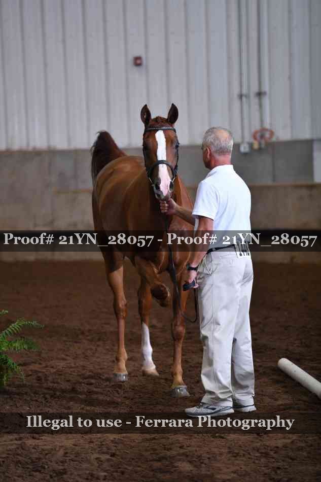 Proof 21YN_28057