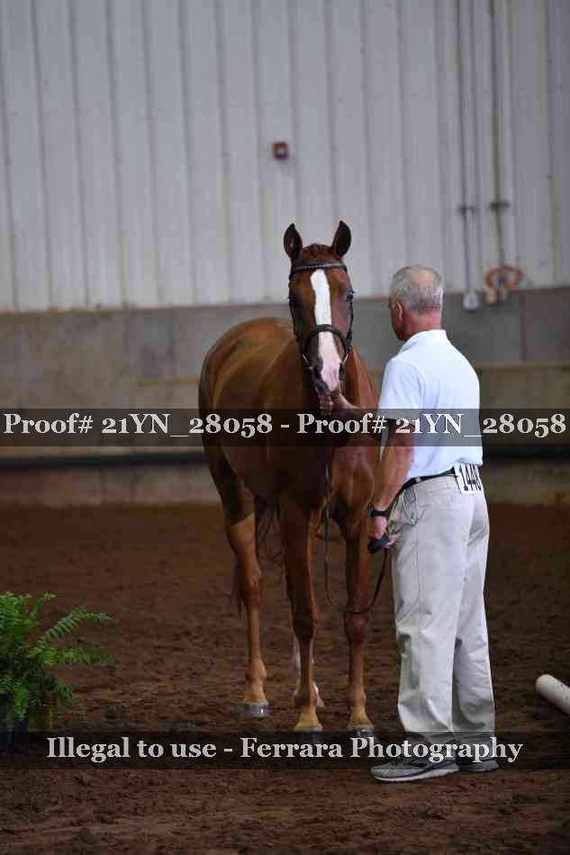 Proof 21YN_28058