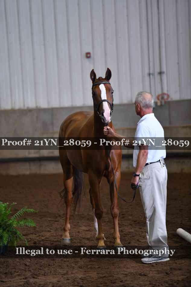 Proof 21YN_28059