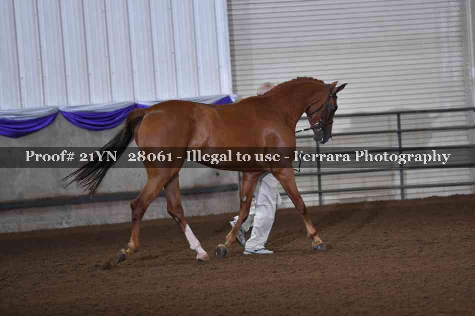 Proof 21YN_28061