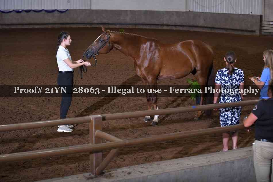 Proof 21YN_28063