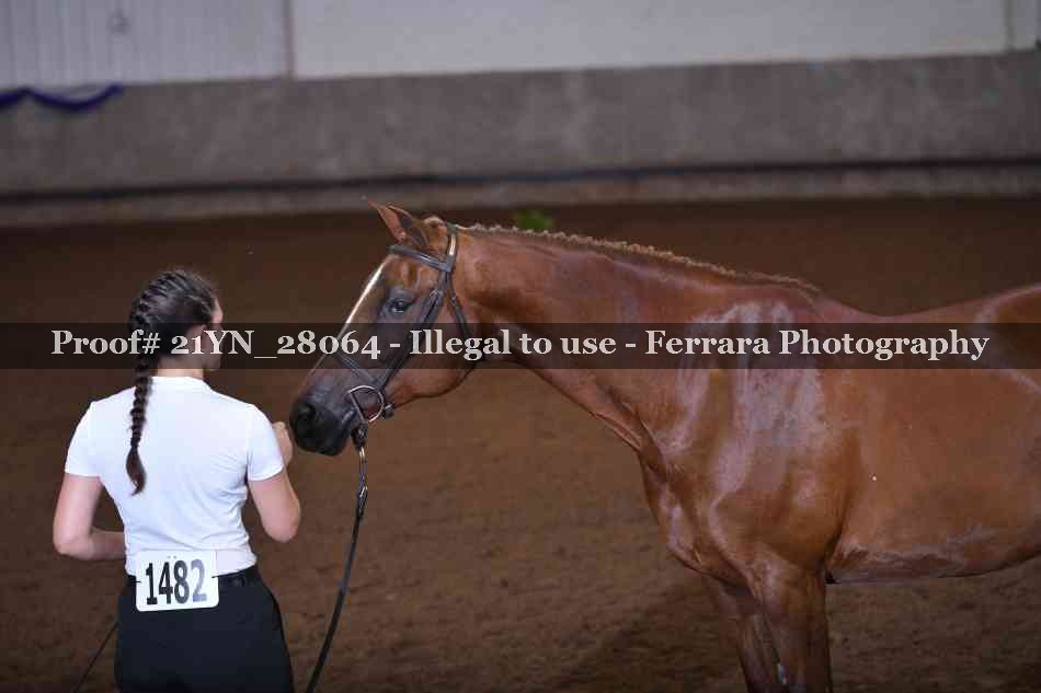 Proof 21YN_28064