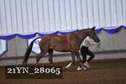 21YN_28065 proof