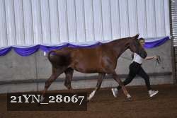 21YN_28067 proof