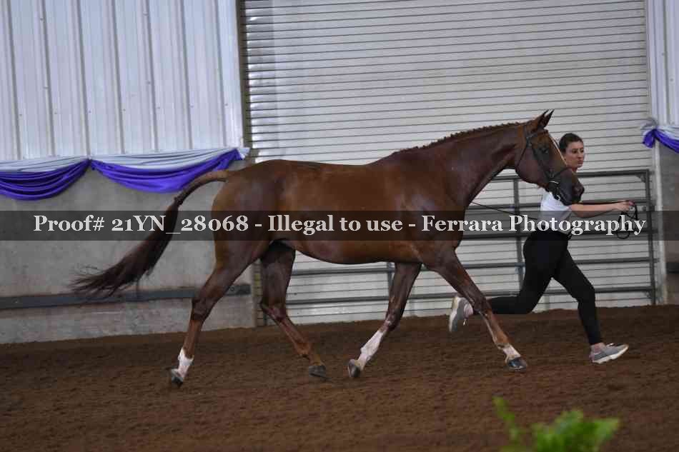 Proof 21YN_28068