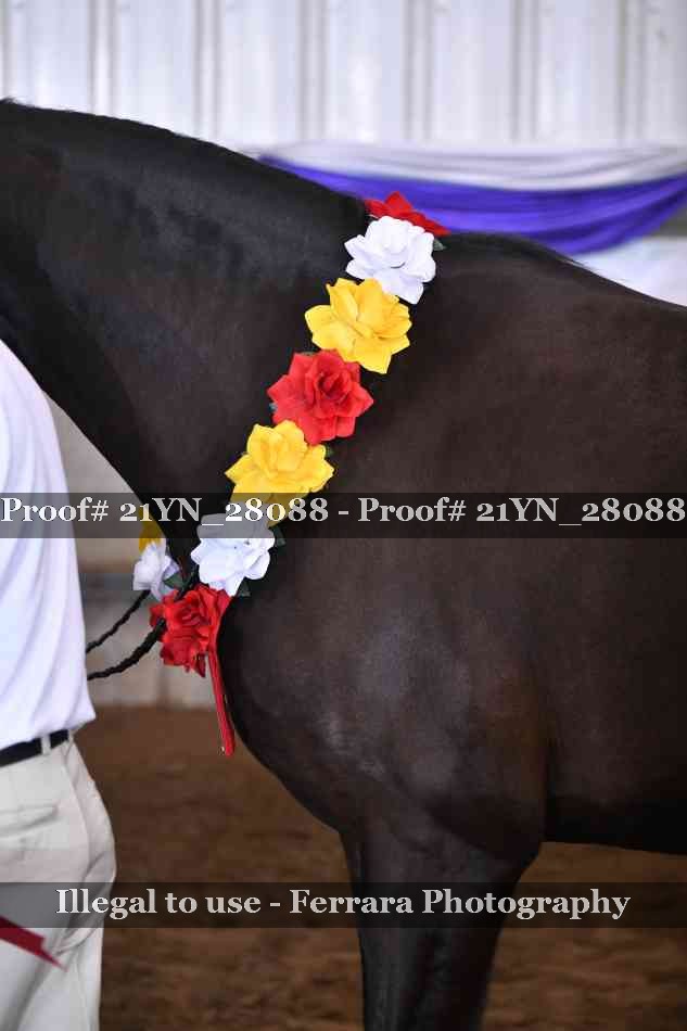 Proof 21YN_28088